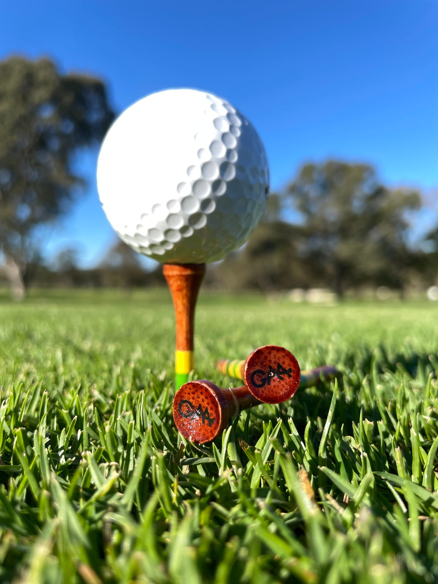 70mm Bamboo tees (30 pack)