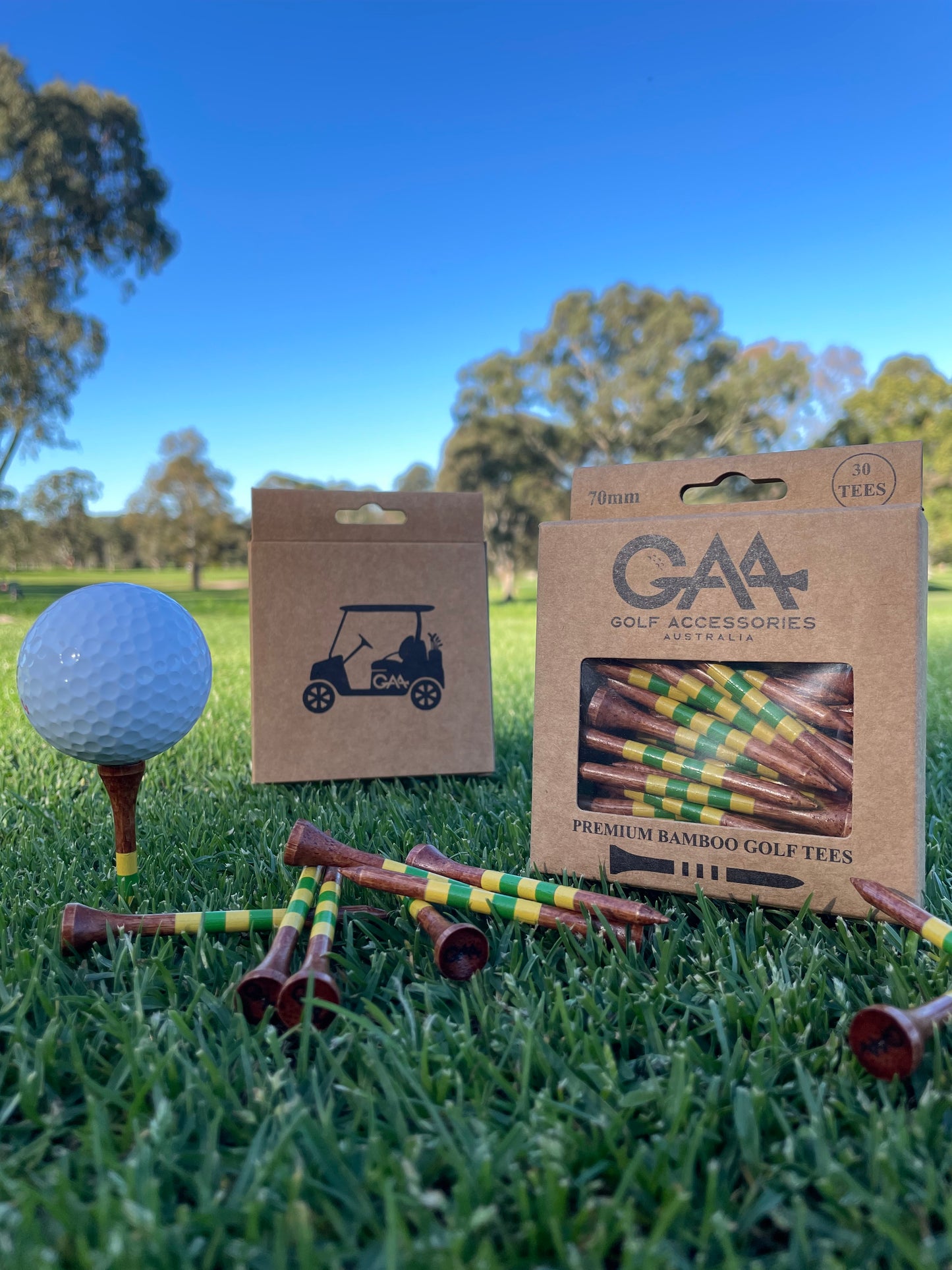 70mm Bamboo tees (30 pack)